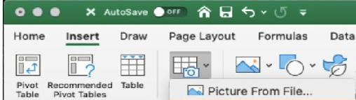 choose Picture from File button